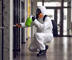 Mold Remediation for Vacation Homes